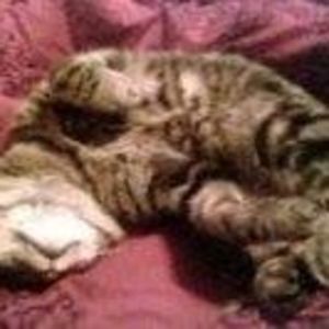 Meet your Posher, Debra